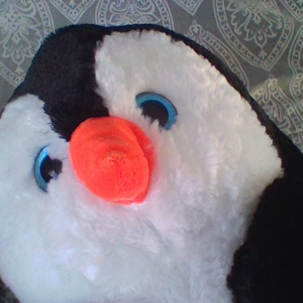 penguin!